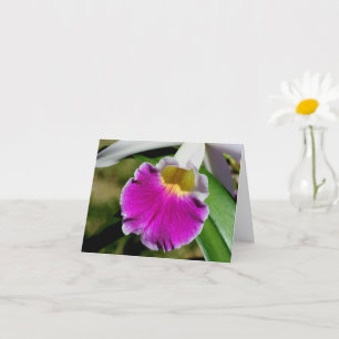 Cartão Nota de Fotografia de Flor de Orquídea Delicada