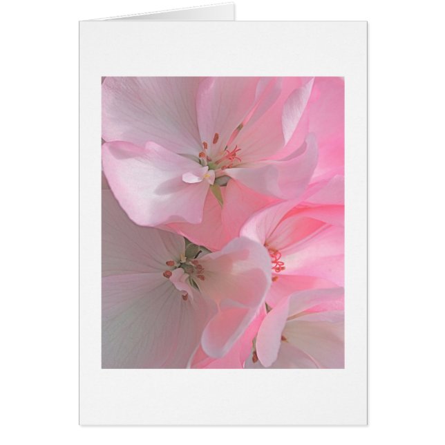 Cartão Nota de Vazio das Flores bonito Rosa (Frente)