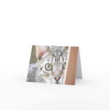 Cartão - Nota - Forlorn Kitten