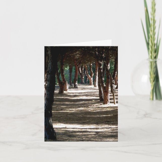 Cartão Nota: Madeira Minorca (Frente)