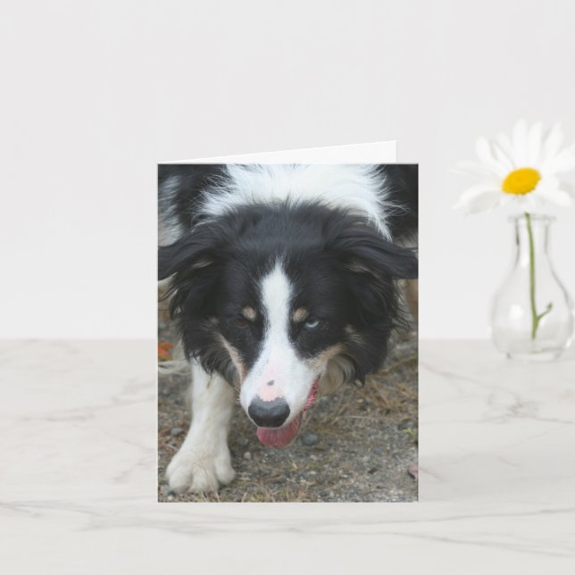 Cartão Nota Personalizada do Cachorro de Collie de Borda (Planta pequena)