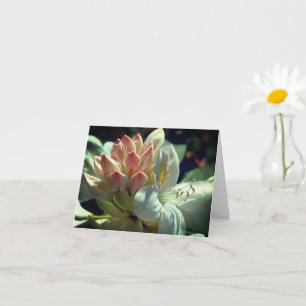 Cartão Nota Personalizada do Flor Azalea Branco