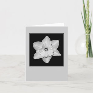 Cartão Nota Simples Flor de Narciso (P&B)