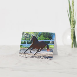Cartão Nota sobre cavalos/cartão de saudação 5