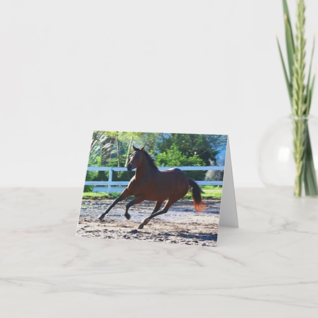 Cartão Nota sobre cavalos/cartão de saudação 5 (Frente)