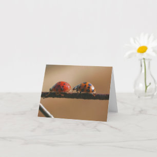Cartão Nota sobre fotografia de Ladybug Buddies