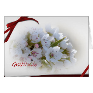 Cartão Notas de Gratidão Floral Branca