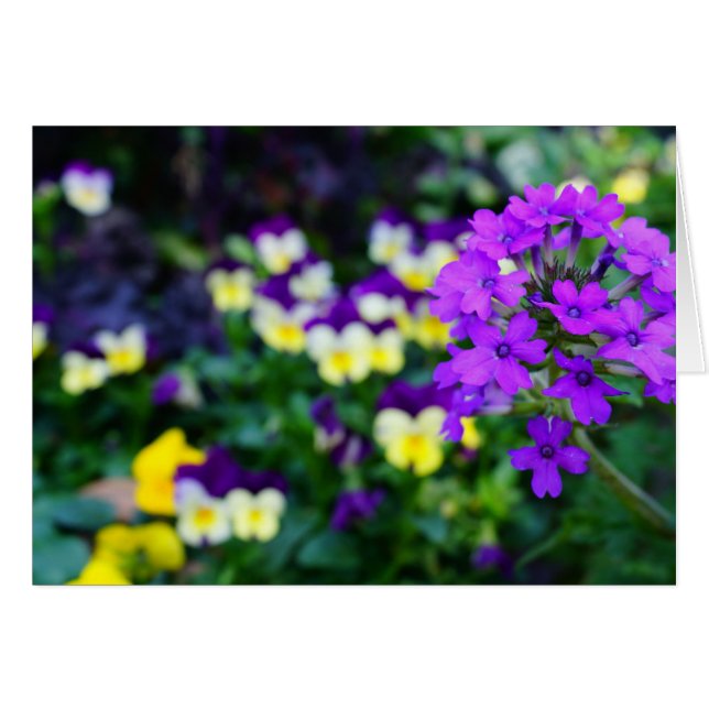 Cartão Notas de Primavera (Frente Horizontal)