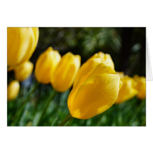 Cartão Notas de tulipas do ~ do primavera!