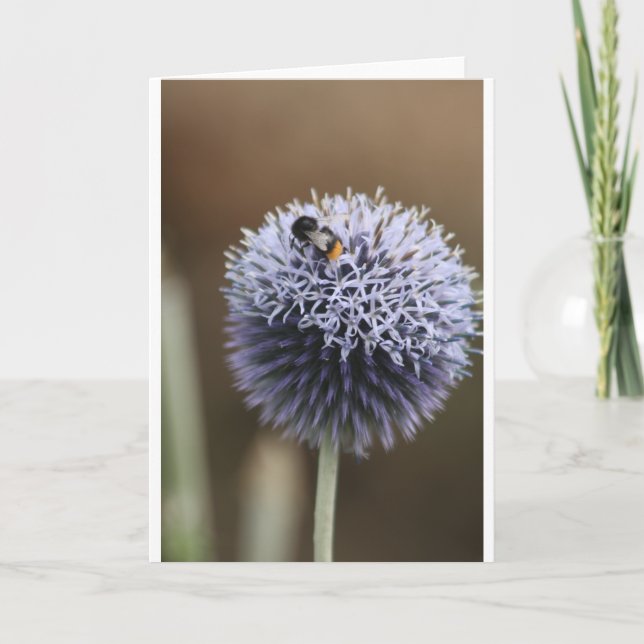 Cartão Note Card (Frente)