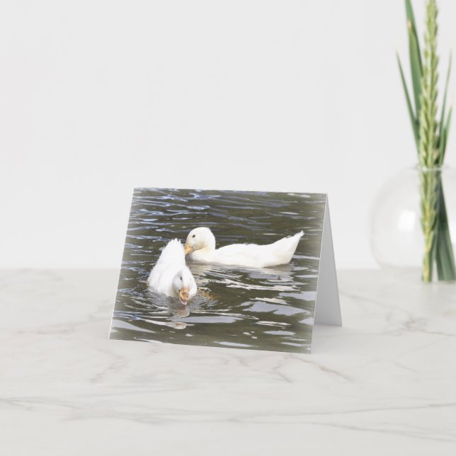 Cartão Note Card: Aylesbury Ducklings (Frente)