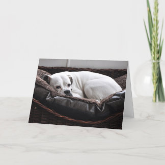 Cartão Note Card: Boxer dog