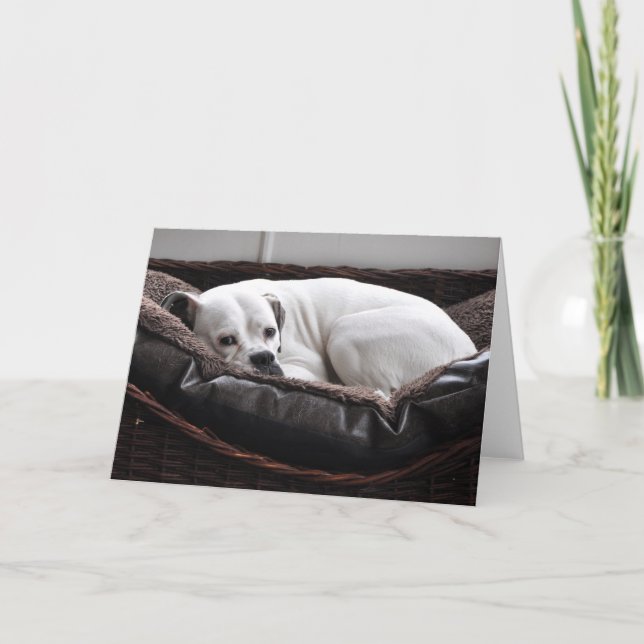 Cartão Note Card: Boxer dog (Frente)