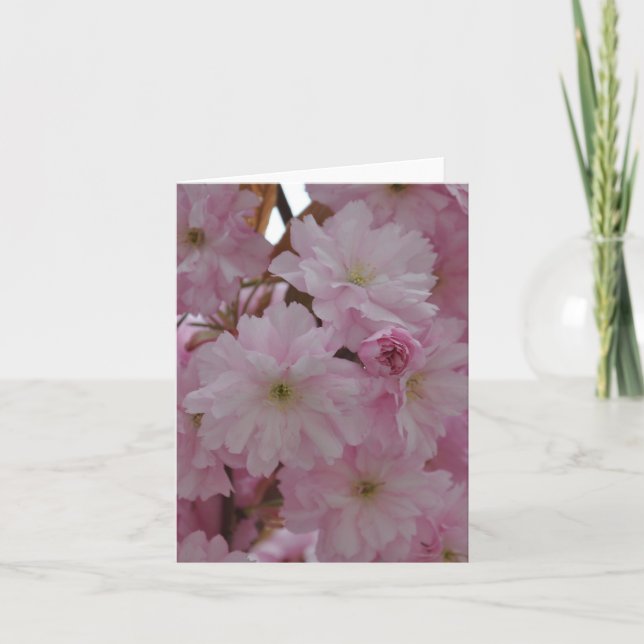Cartão Note Card: Cherry Blossoms (Frente)
