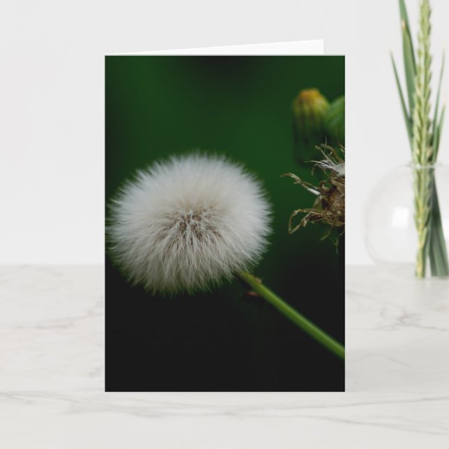 Cartão Note Card - Dandelion (Frente)