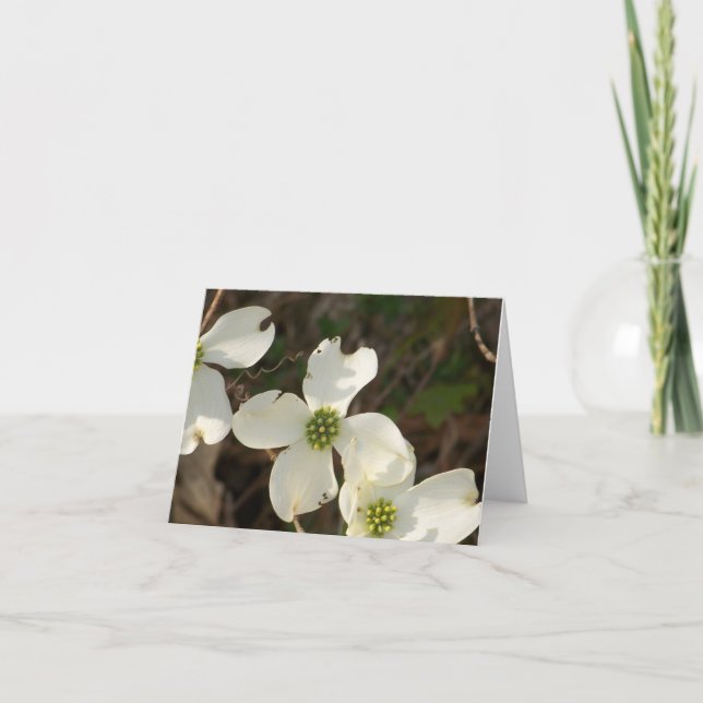 Cartão Note Card Dogwoods (Frente)