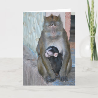 Cartão Note Card- Macaque Monkey and baby - Subic Bay