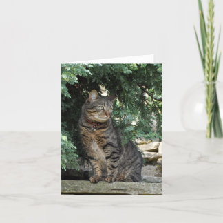 Cartão Note Card: Minnie