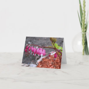 Cartão Note Card, Pink & White Bleeding Heart flowers
