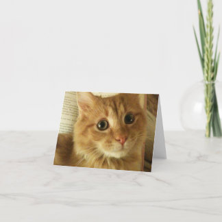 Cartão Note Card With Cute Cat