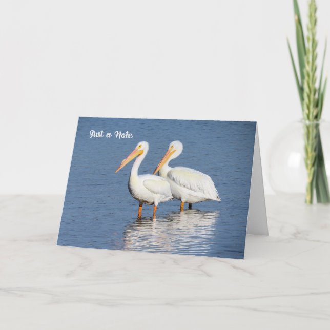 Cartão Note Card with White Pelicans (Frente)