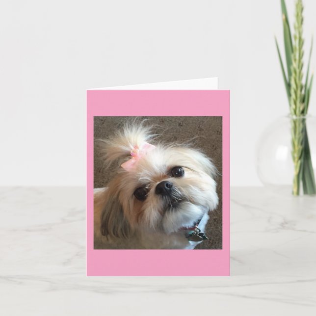 Cartão Note Cards / Amazing Grace & Glory Bea (Frente)