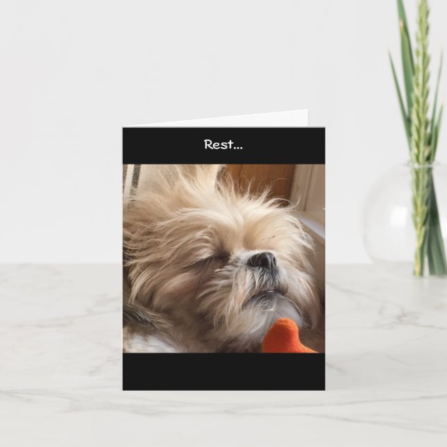 Cartão Note Cards / Amazing Grace & Glory Bea (Frente)