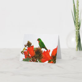 Cartão Note cards wtih exotic parrot on orange flowers