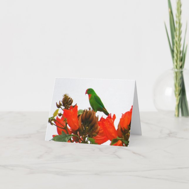 Cartão Note cards wtih exotic parrot on orange flowers (Frente)
