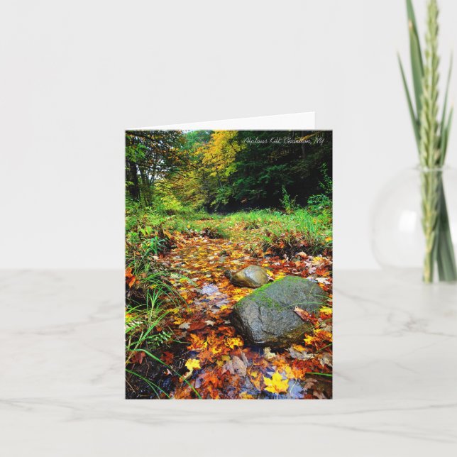 Cartão Notecard: Alplaus Kill, Charlton, NY (Frente)