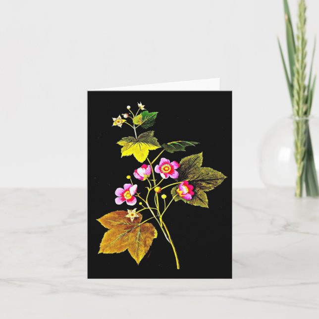 Cartão Notecard-Botanic Art-Mary Delany 4 (Frente)
