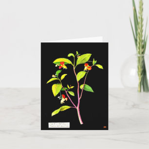 Cartão Notecard-Botanic Art-Mary Delany 7