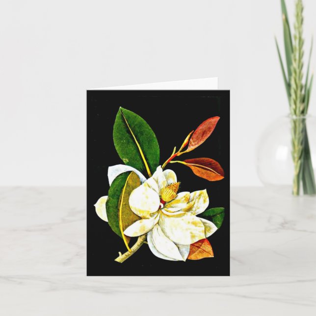 Cartão Notecard-Botanical Art-Mary Delany 1 (Frente)
