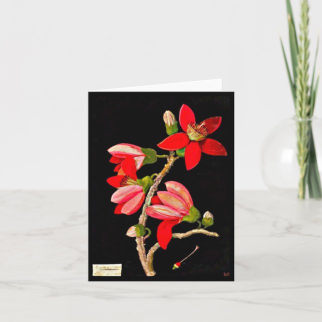 Cartão Notecard-Botanical Art-Mary Delany 17 (Frente)