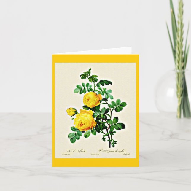 Cartão Notecard-Botanicals-Pierre Joseph Redoute 13 (Frente)