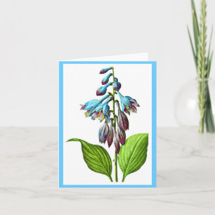 Cartão Notecard-Botanicals-Pierre Joseph Redoute 17