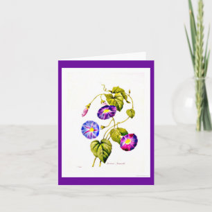 Cartão Notecard-Botanicals-Pierre Joseph Redoute 6