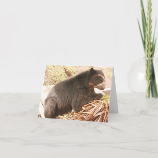 Cartão Notecard Bubu PB4