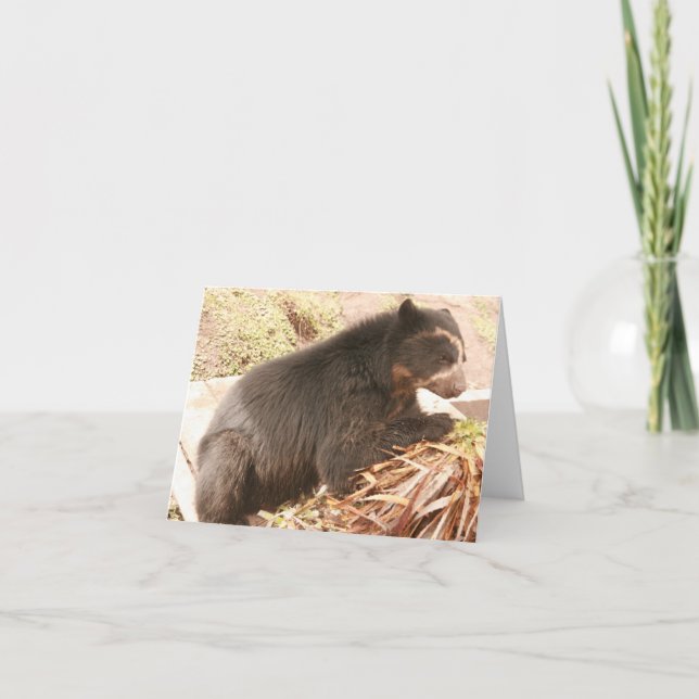 Cartão Notecard Bubu PB4 (Frente)