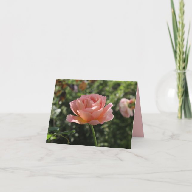 Cartão Notecard com Rosa de coral bonito (Frente)