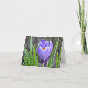 Cartão Notecard - Crocus
