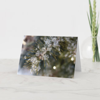 Cartão NOTECARD, Crystal flakes on Spruce Needles