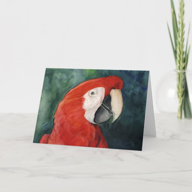 Cartão Notecard de Arte Original "Scarlet Macaw" (Frente)