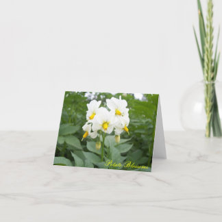 Cartão Notecard de Blossomas de Batata