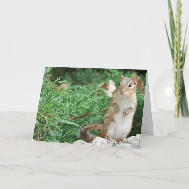 Cartão Notecard de chipset (Frente)