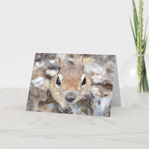 Cartão Notecard de Esquilo de solo com ouro
