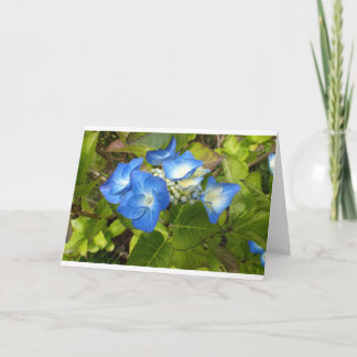 Cartão Notecard de flores azuis