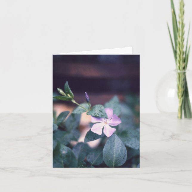 Cartão Notecard de Flores Roxo Vinca (Frente)