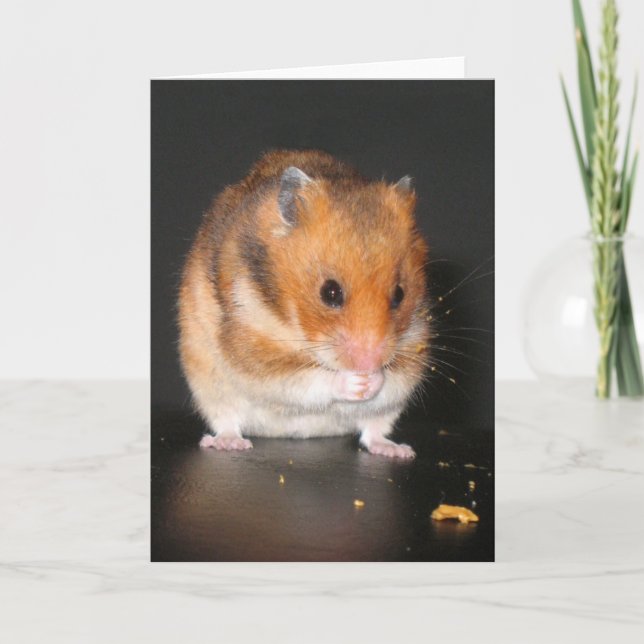 Cartão Notecard de hamster (Frente)