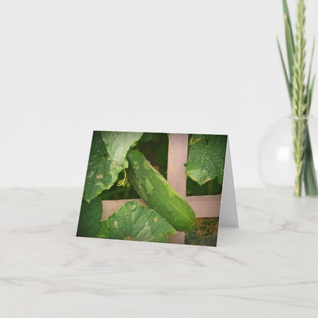 Cartão Notecard de pepino (Frente)